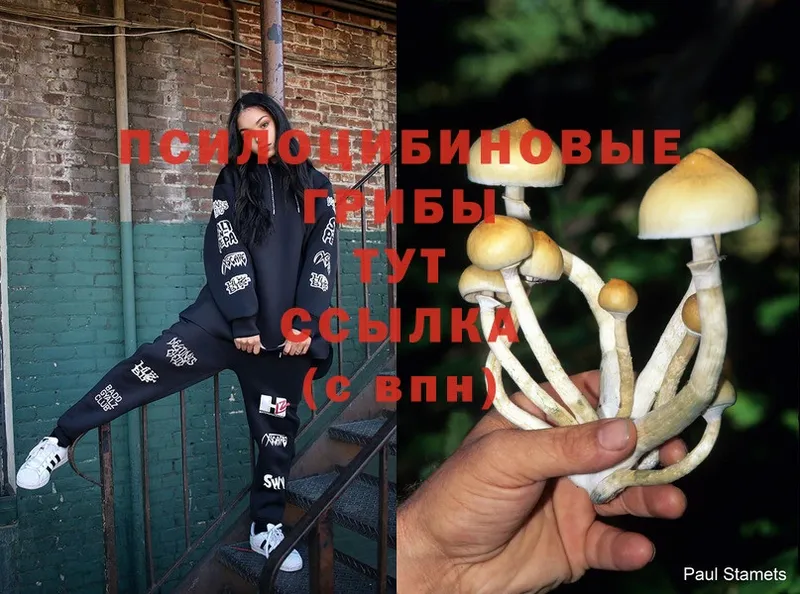 Галлюциногенные грибы Magic Shrooms  продажа наркотиков  Валуйки 